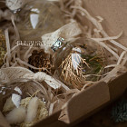 Набор ёлочных шаров с сухоцветами, 4 шт