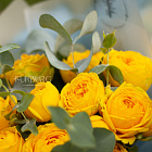 Букет роз «Лимонный щербет»