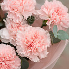 Монобукет из розовых гвоздик