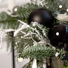 Композиция с нобилисом «Снежная ночь»