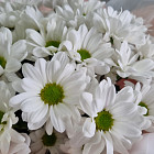 Готовый букет №8