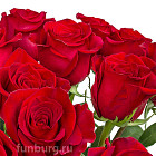 Розы (70 см)