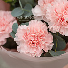 Монобукет из розовых гвоздик