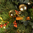 Композиция их хвои «Облепиховый пунш»