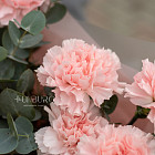 Монобукет из розовых гвоздик