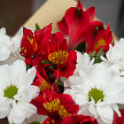 Букет из хризантем и альстромерий «Алый закат»