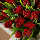 Букет красных тюльпанов L
