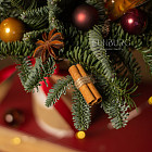 Цветы в стаканчике «Глинтвейн»