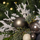 Цветы в шляпной коробке «Метелица»