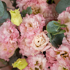 Букет из эустом «Клубничное суфле»