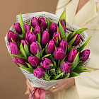 Букет пурпурных тюльпанов M