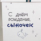 Большая коробка с шариками «Китёнок»