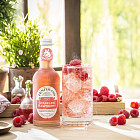 Лимонад Fentimans «Игристая малина»
