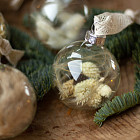 Набор ёлочных шаров с сухоцветами, 4 шт