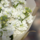 Букет из маттиолы «Пряный аромат»