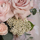 Корзина цветов «Сливочная глазурь»