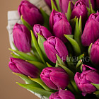 Букет пурпурных тюльпанов M
