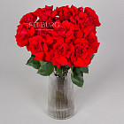 Красные розы Nina