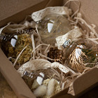 Набор ёлочных шаров с сухоцветами, 4 шт