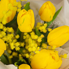 Букет тюльпанов «Солнышко» с мимозой