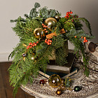 Композиция их хвои «Облепиховый пунш»