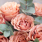 Букет роз «Мокко»