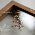 Ботаническая картина «Ruscus»