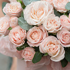 Цветы в шляпной коробке «Пудровый шёлк»