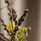 Пасхальная композиция в шляпной коробке №2