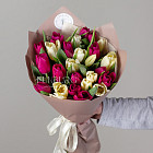 Букет кремовых и пурпурных тюльпанов M