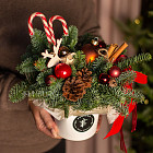 Композиция в коробке WOK «Christmas Edition»