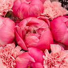 Букет из пионов и гвоздик «Земляничные сны»