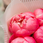 Монобукет из пионов «Малиновый сорбет»