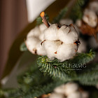 Букет «Снежный дуэт»