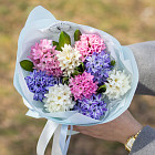 Букет из гиацинтов «Очарование весны»