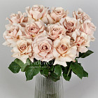 Французские розы Quicksand