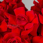 Красные розы Nina